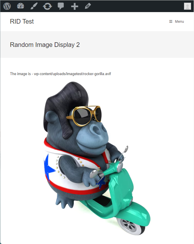Random Image Display
