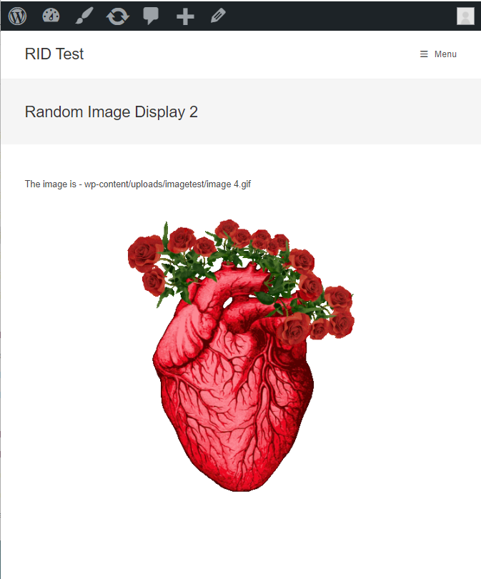 Random Image Display